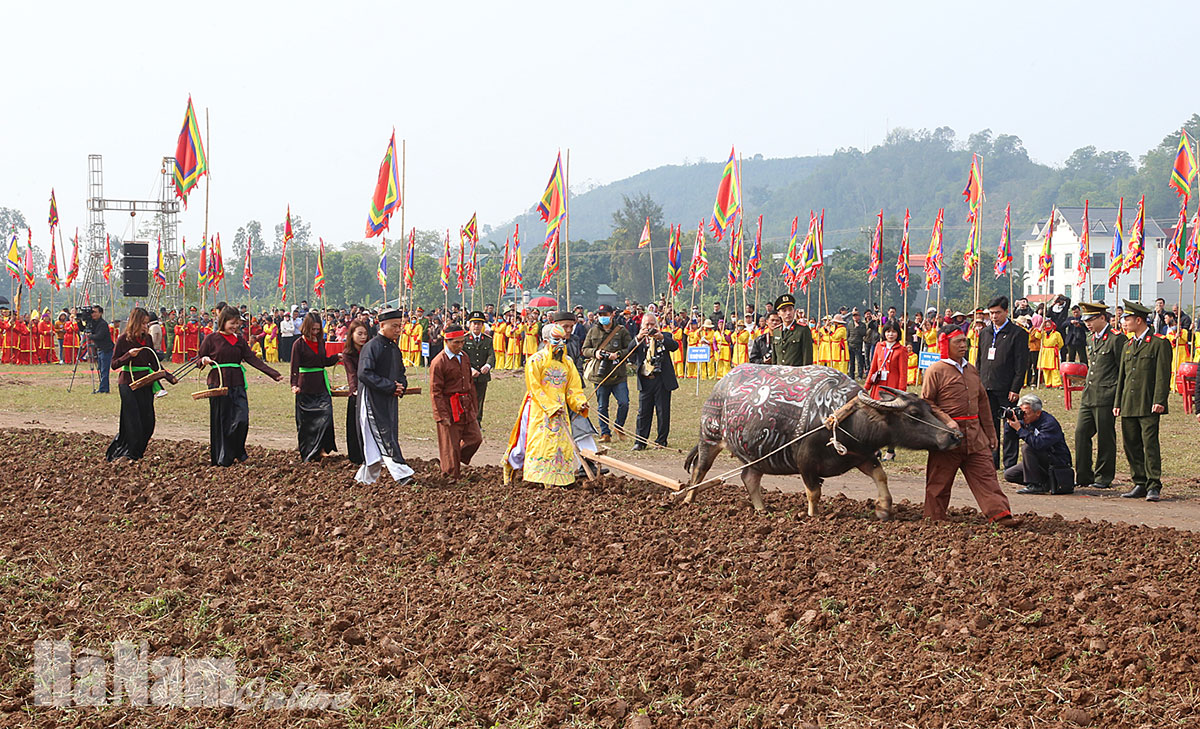 Năm Tân Sửu nói chuyện về trâu cày Tịch điền