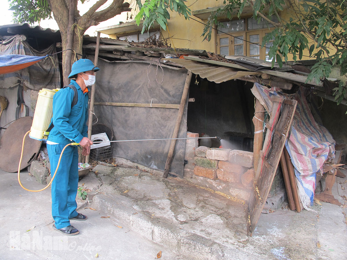 Ngăn chặn không để dịch cúm gia cầm bùng phát