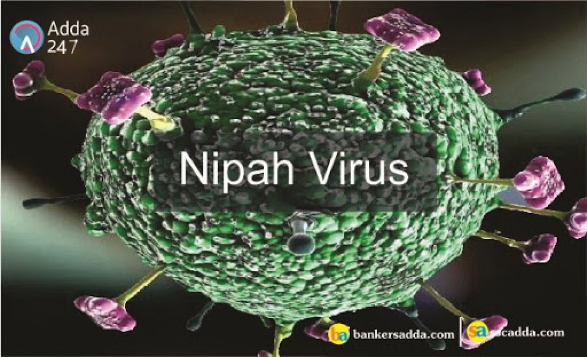 WHO cảnh báo virus Nipah có thể đột biến và gây ra đại dịch tiếp theo
