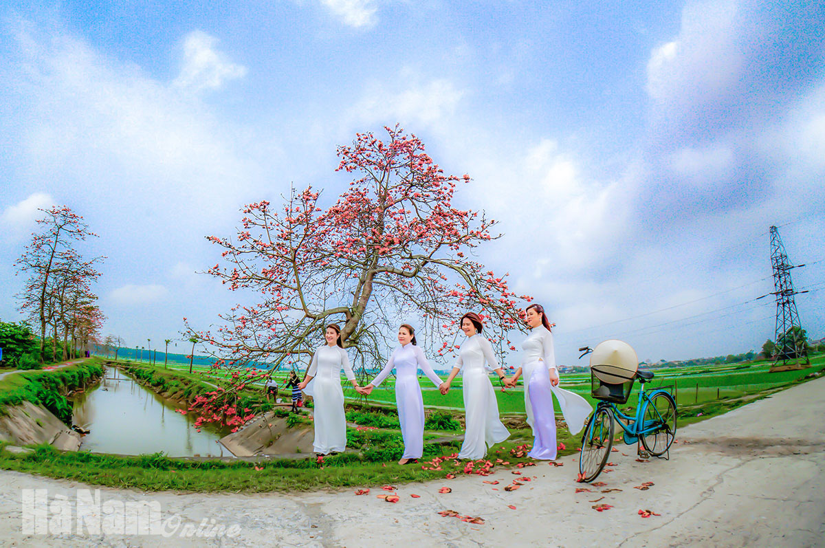 Tháng Ba mùa hoa gạo