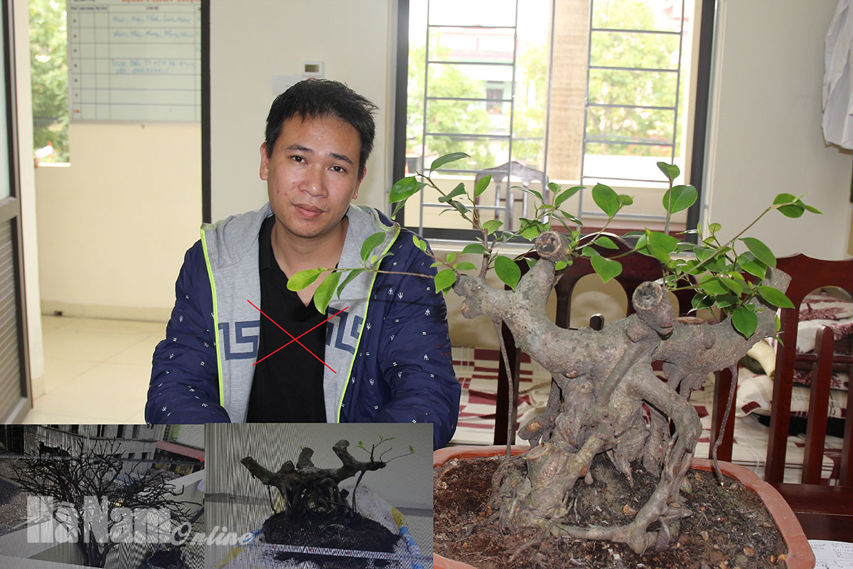 Công an huyện Kim Bảng tìm ra thủ phạm trộm cắp cây xanh qua hệ thống camera an ninh ở cơ sở