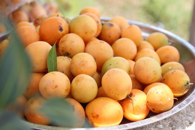 5 loại trái cây gợi nhớ miền Tây