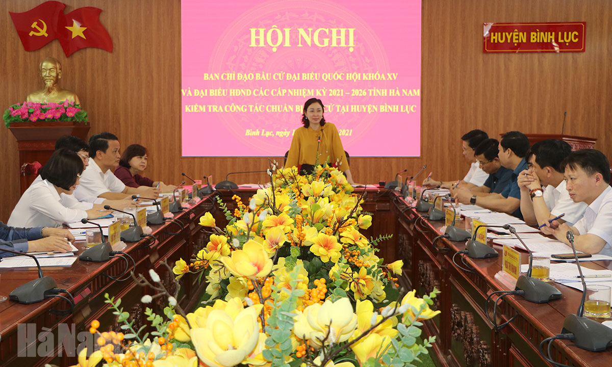 Đồng chí Phó Bí thư Thường trực Tỉnh ủy kiểm tra công tác chuẩn bị bầu cử tại huyện Bình Lục