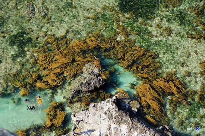 Quảng Ngãi ra mắt ứng dụng du lịch