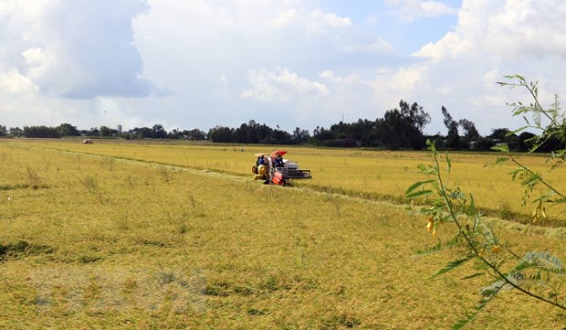 Từ ngày 23-25/4, Tây Bắc Bộ, Bắc và Trung Trung Bộ nắng nóng gay gắt