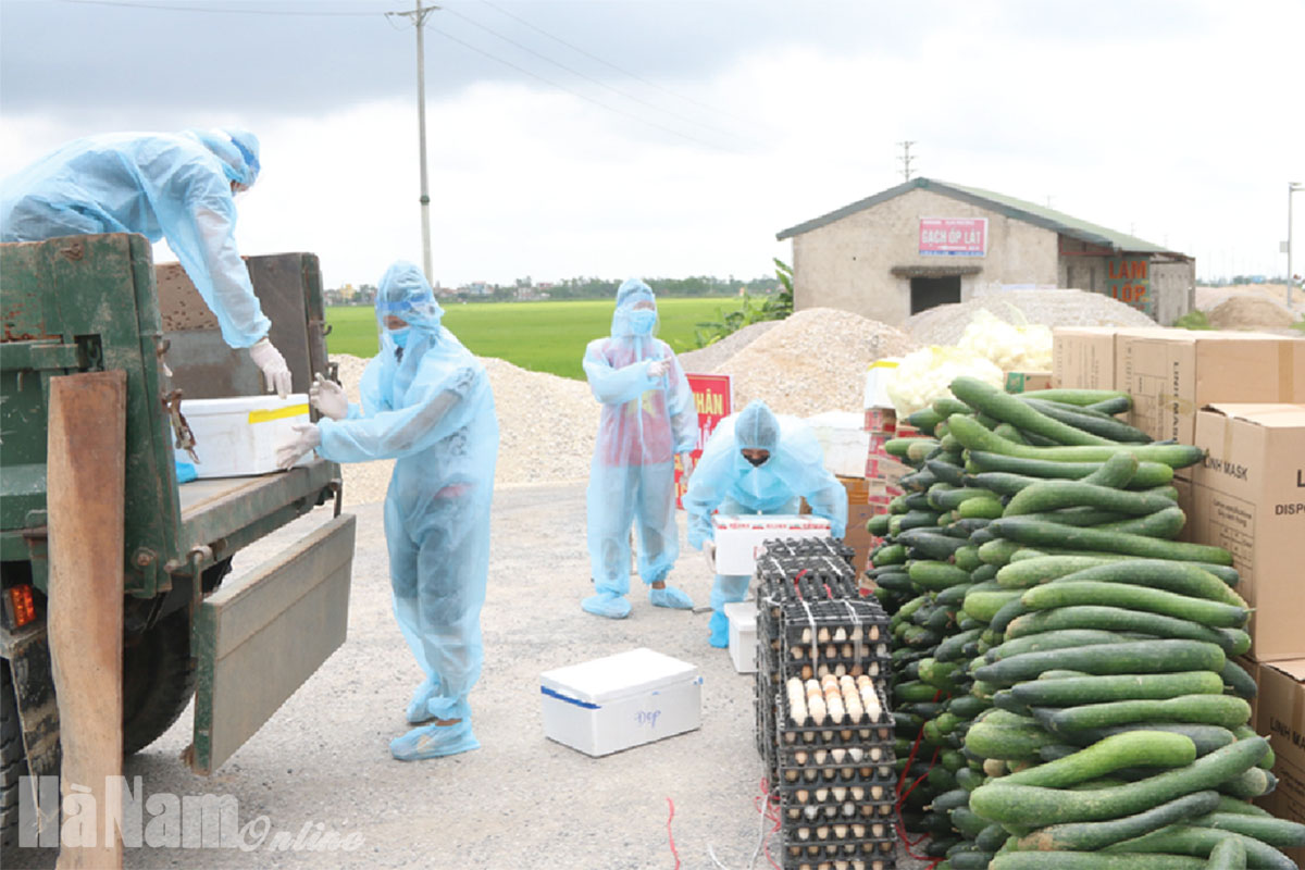 Hiệu quả hoạt động tổ giám sát Covid - 19 cộng đồng