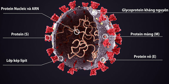 Việt Nam làm chủ công nghệ giải trình tự virus nCoV