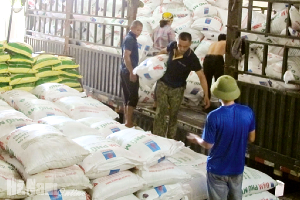 Giá phân bón tăng cao ảnh hưởng đến sản xuất nông nghiệp