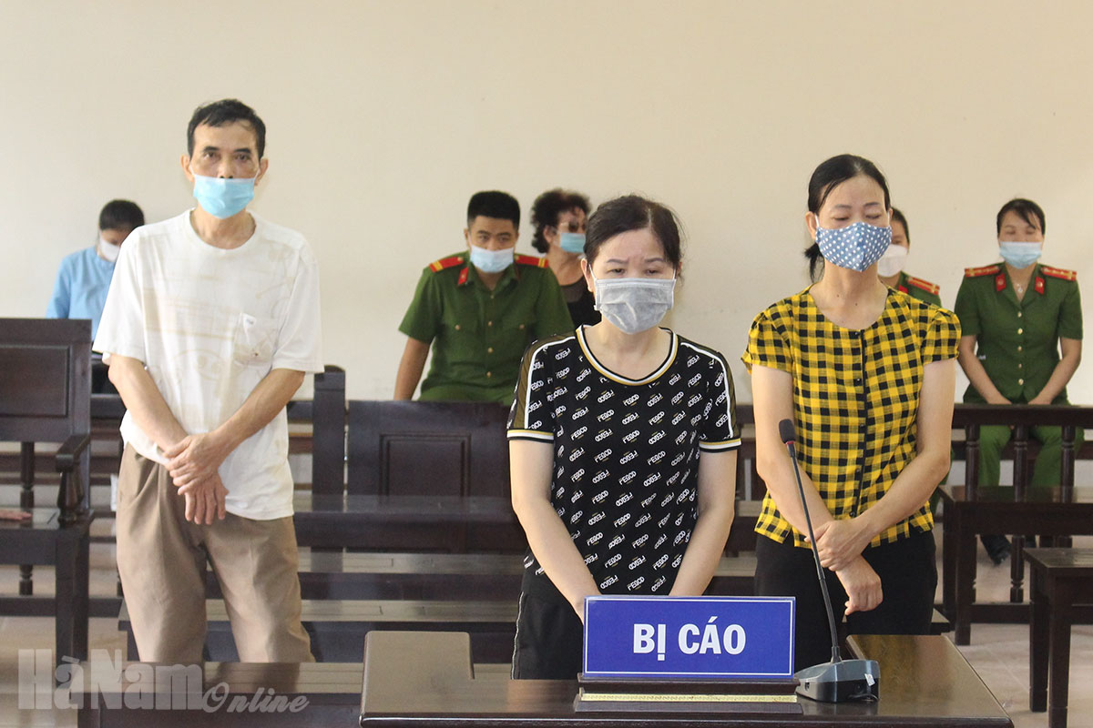 Lừa nhiều người mua nhà đất ở Phủ Lý rồi chiếm đoạt hơn 8 tỷ đồng, bị lĩnh 23 năm tù