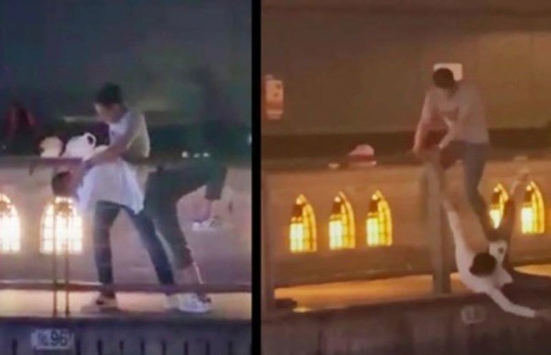 Cảnh sát Nhật xác nhận danh tính người Việt bị sát hại ở Osaka