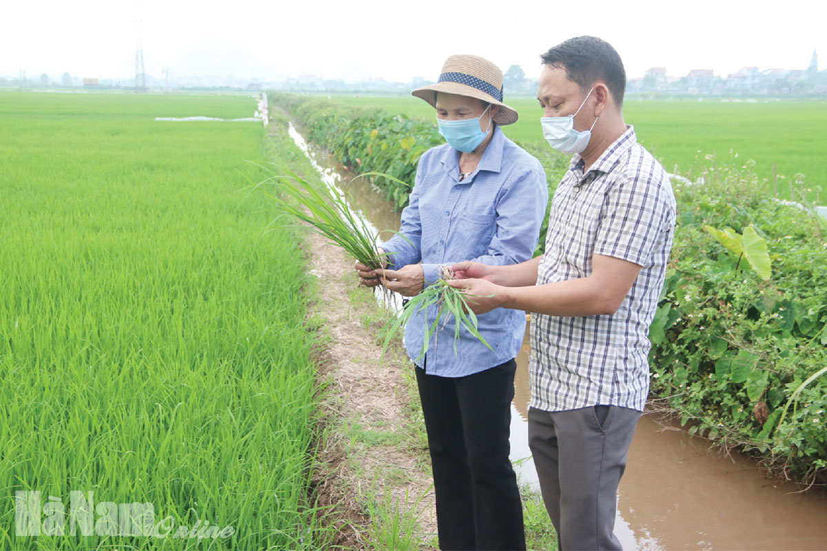 Hội Nông dân huyện Thanh Liêm với phong trào thi đua “Dân vận khéo”
