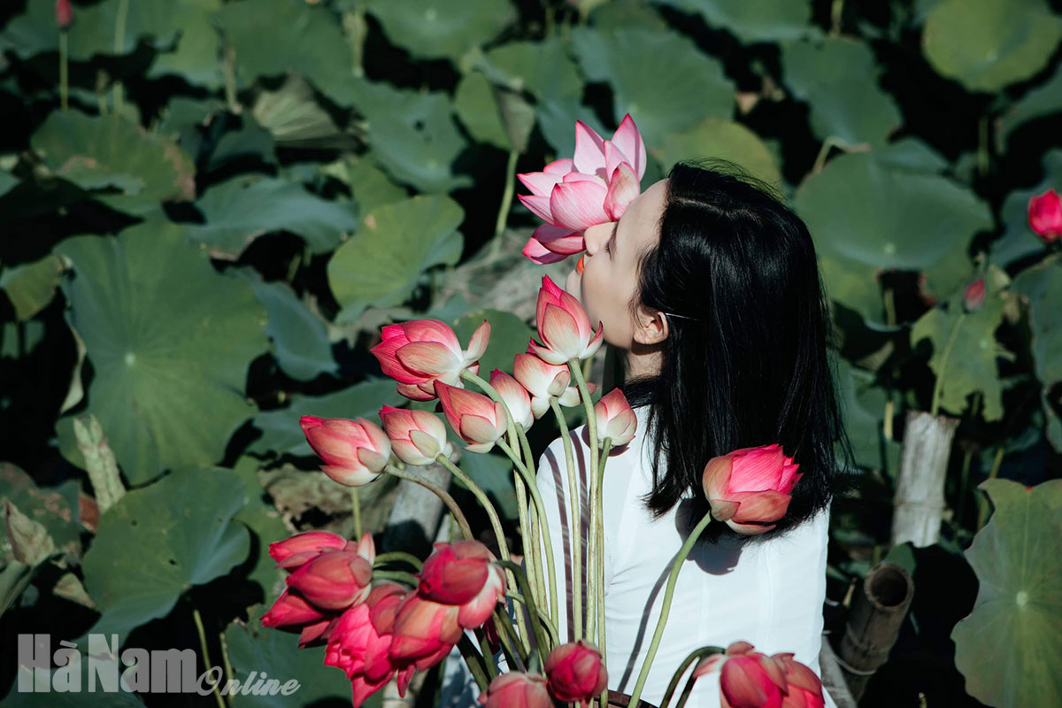 'Hình như thu đã về'