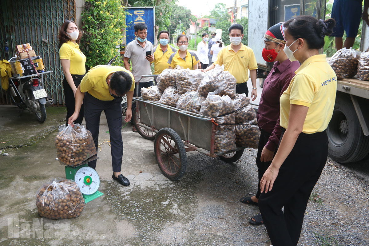 Bưu điện tỉnh Hà Nam hỗ trợ tiêu thụ nông sản cho người dân