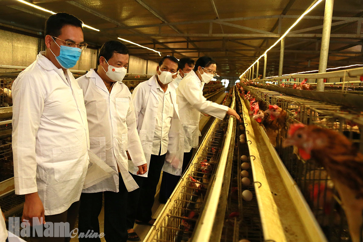 Cơ cấu lại ngành nông nghiệp theo hướng phát triển bền vững