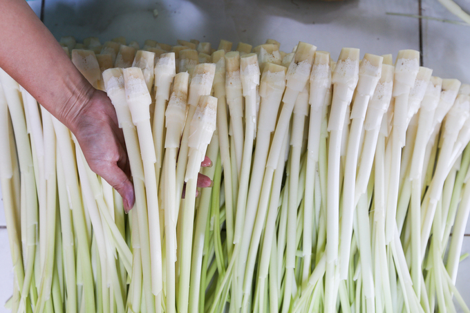 3 đặc sản từng được xem là 'cỏ dại' ở miền Tây