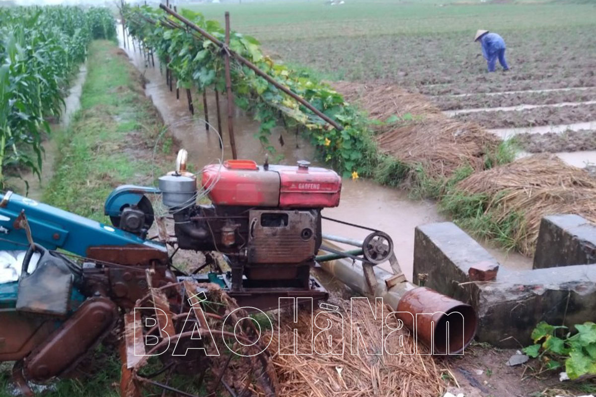 Mưa do hoàn lưu bão số 7 và không khí lạnh ảnh hưởng đến sản xuất nông nghiệp