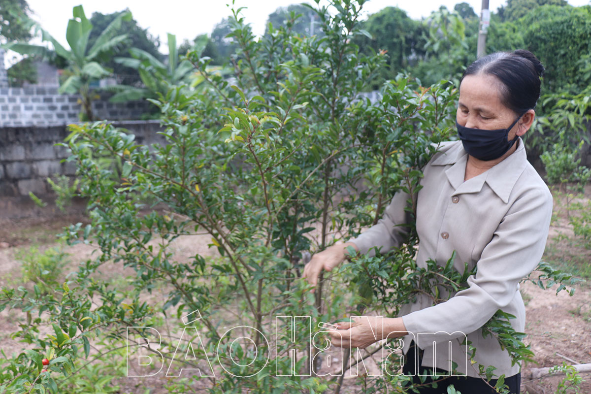 Một chi hội trưởng tâm huyết với phong trào phụ nữ