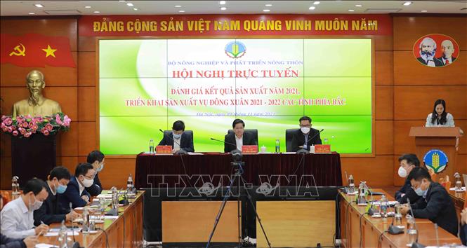 Các tỉnh phía Bắc phòng chống rét, thiếu nước trong vụ Đông Xuân 2021-2022