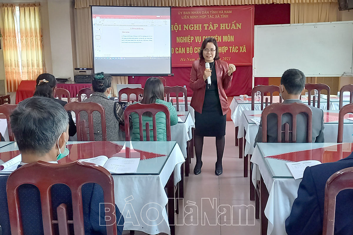 Tập huấn nghiệp vụ chuyên môn cho Trưởng kiểm soát và Kế toán trưởng HTX