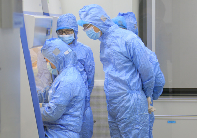 Vaccine dịch tả lợn châu Phi của Việt Nam sẵn sàng ra thị trường