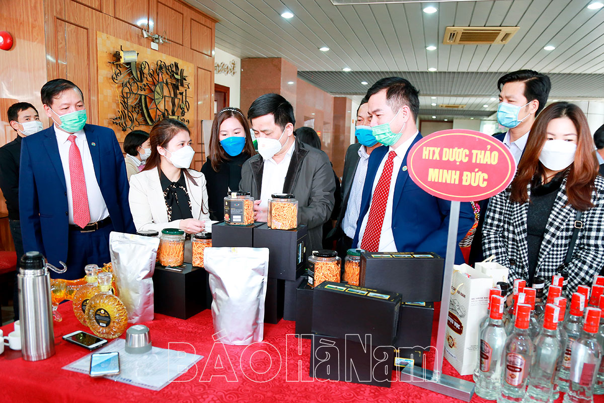 Xúc tiến thương mại, kết nối sản xuất tiêu thụ sản phẩm các HTX năm 2021