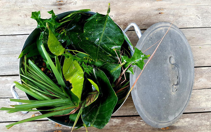 F0 không nên xông lá trực tiếp