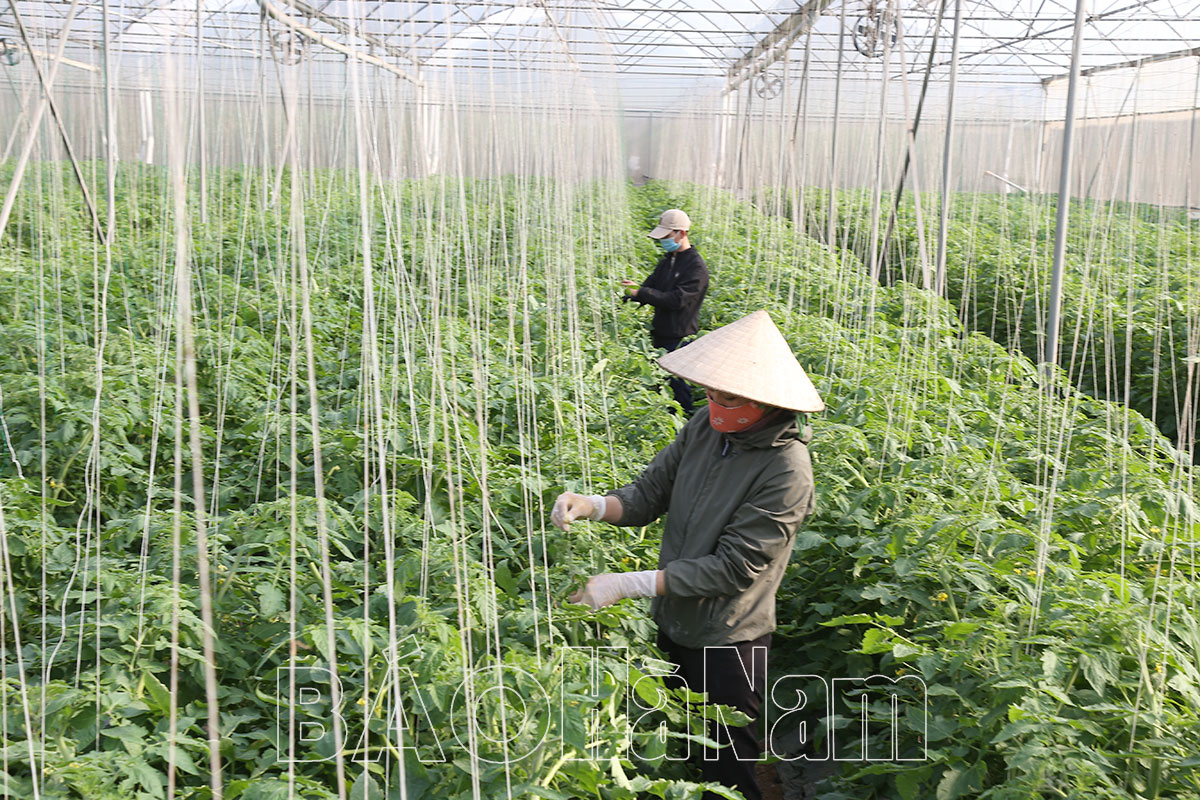 Khơi dậy tiềm năng vùng đất bãi