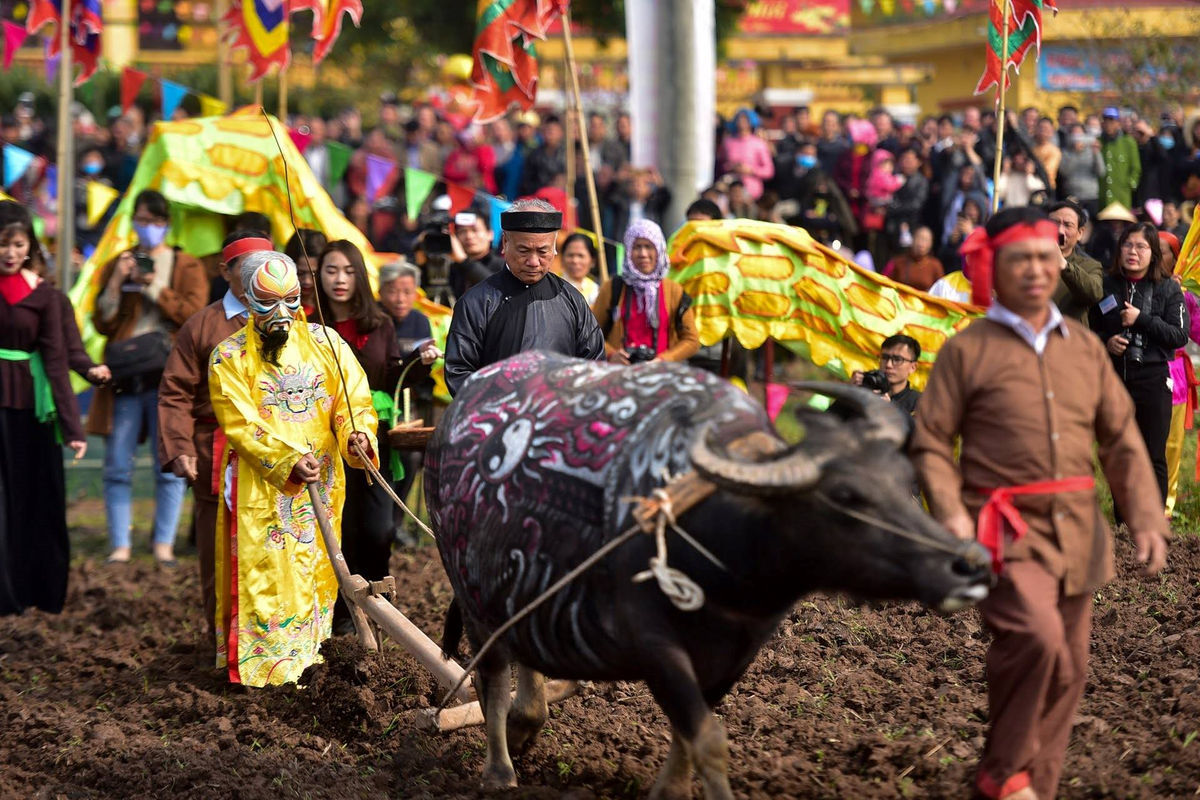 Tạm dừng tổ chức lễ hội và bắn pháo hoa nổ trong dịp Tết Nguyên đán Nhâm Dần