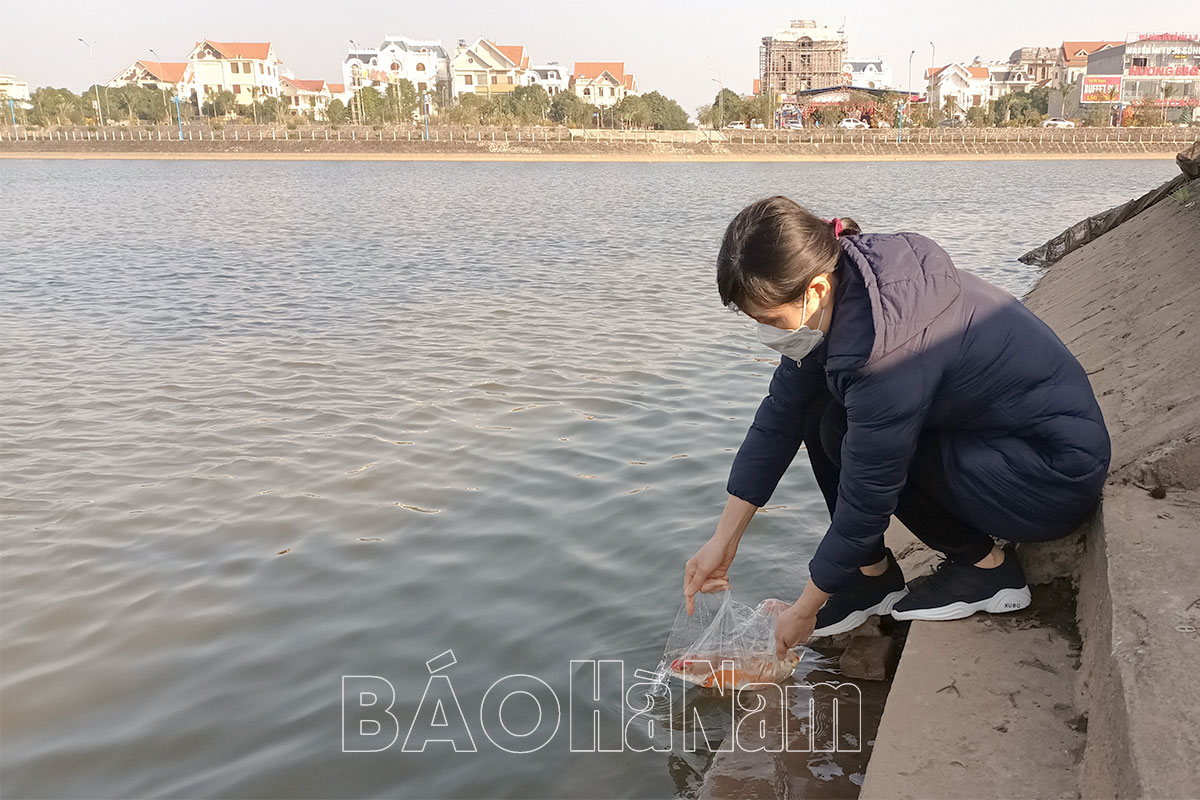 Thả cá phóng sinh - Nét đẹp văn hóa ngày Táo quân chầu trời