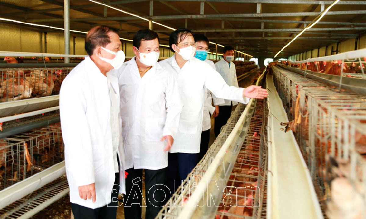 Tiếp tục nâng hạng chất lượng sản phẩm OCOP