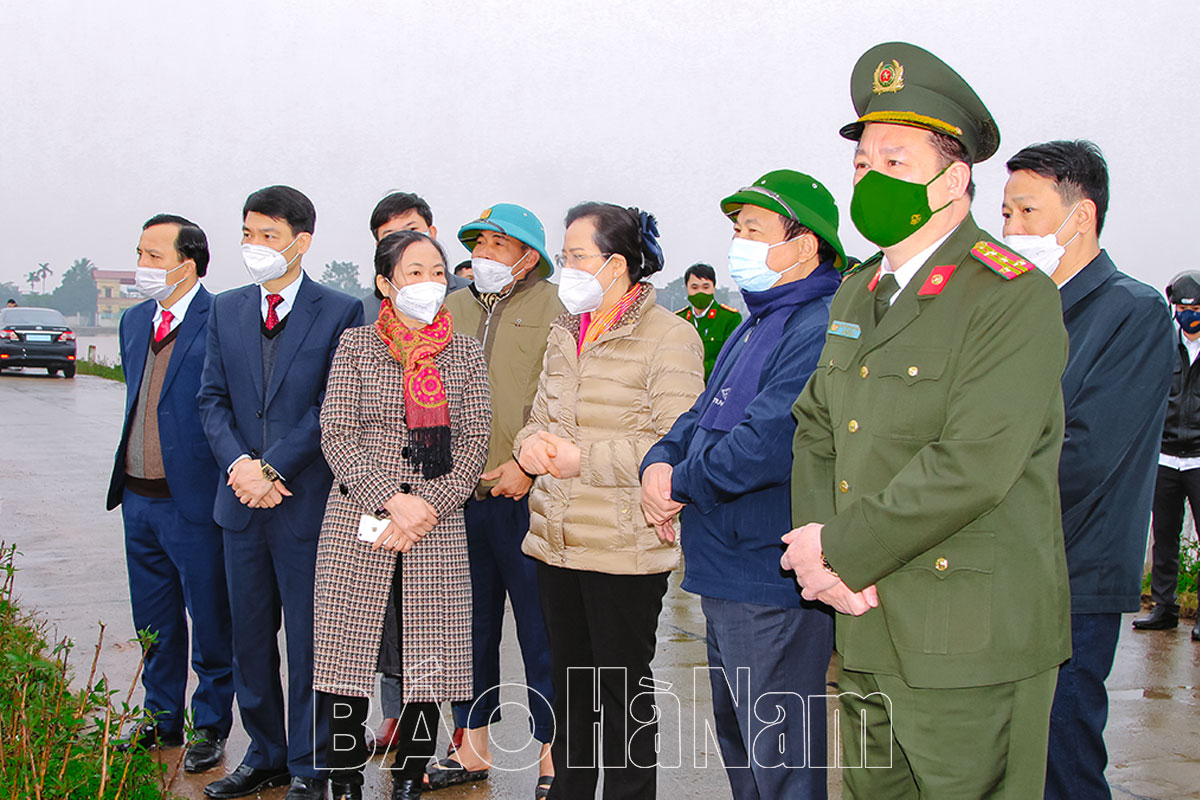 Các đồng chí lãnh đạo tỉnh kiểm tra sản xuất đầu năm và tham dự Tết trồng cây