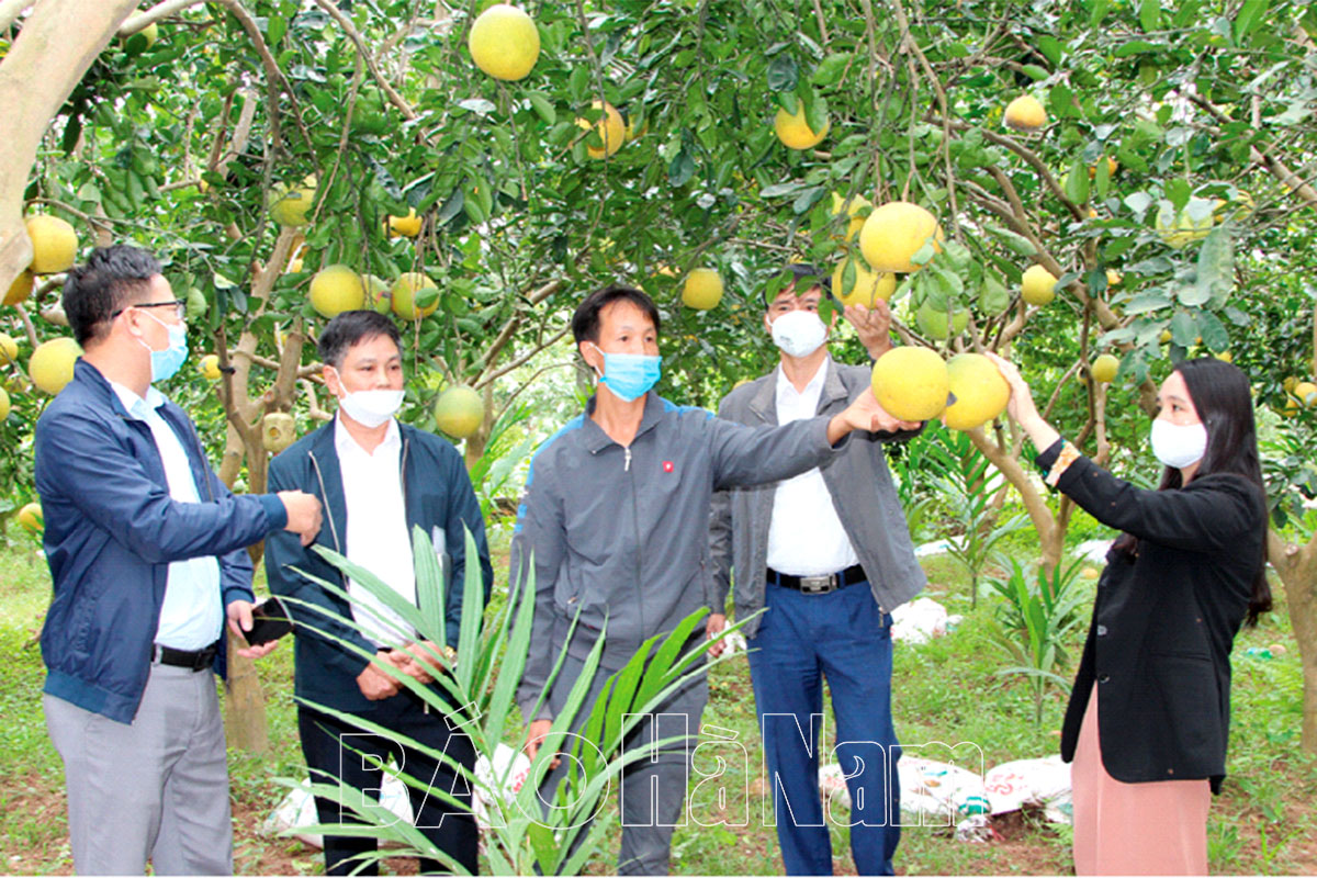 Sức lan tỏa từ những mô hình “Dân vận khéo”