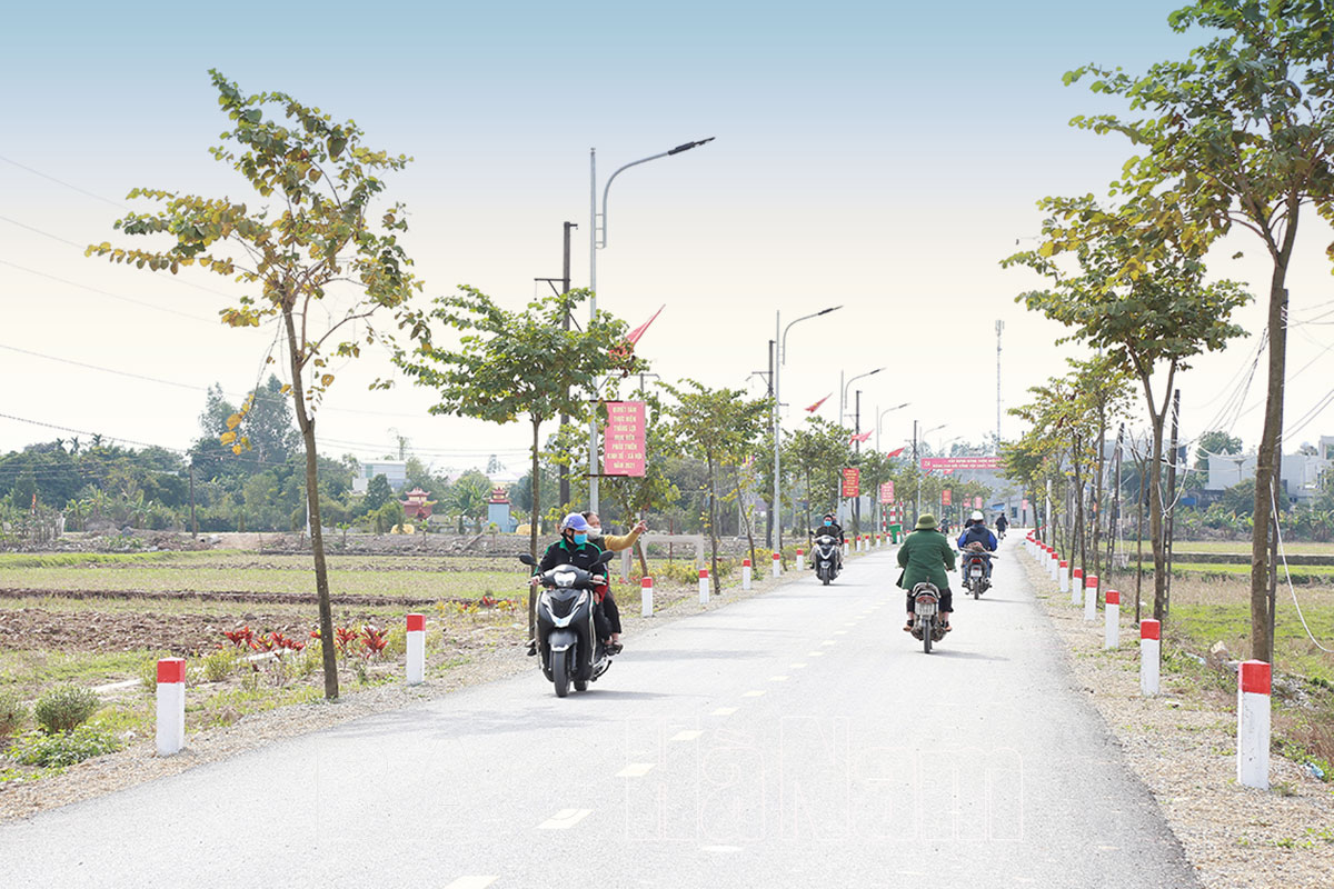 Phấn đấu hoàn thành mục tiêu trồng gần 1 triệu cây xanh trong năm 2022