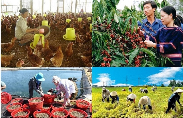 Tạo điều kiện cho kinh tế trang trại phát triển thuận lợi