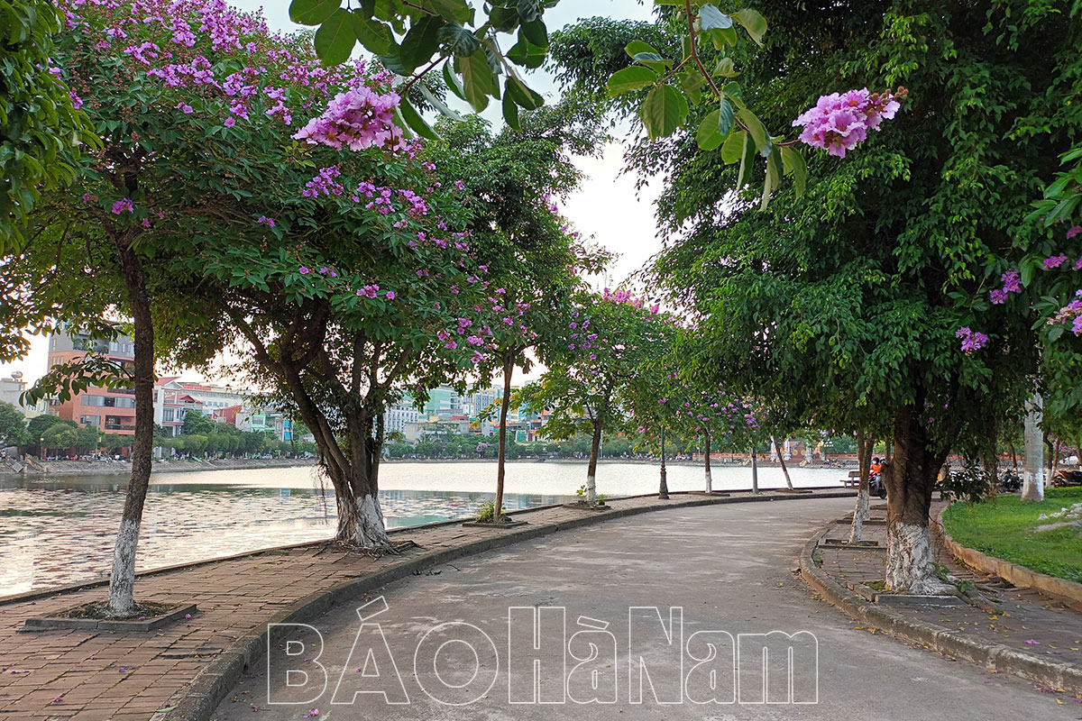 Gió mùa giữa tháng Năm