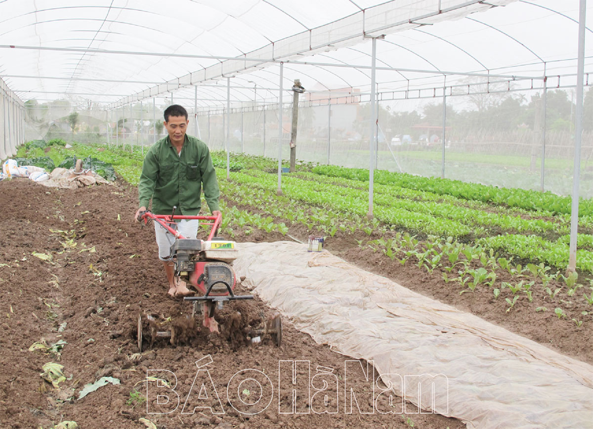Địa chí huyện Bình Lục: Tổng quan kinh tế Bình Lục qua các thời kỳ lịch sử