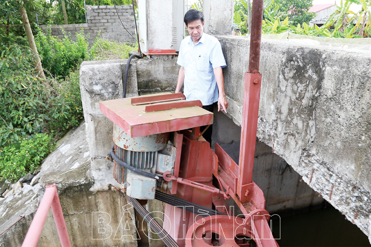Hiệu quả của máy bơm treo trục đứng trong tưới, tiêu nước phục vụ sản xuất