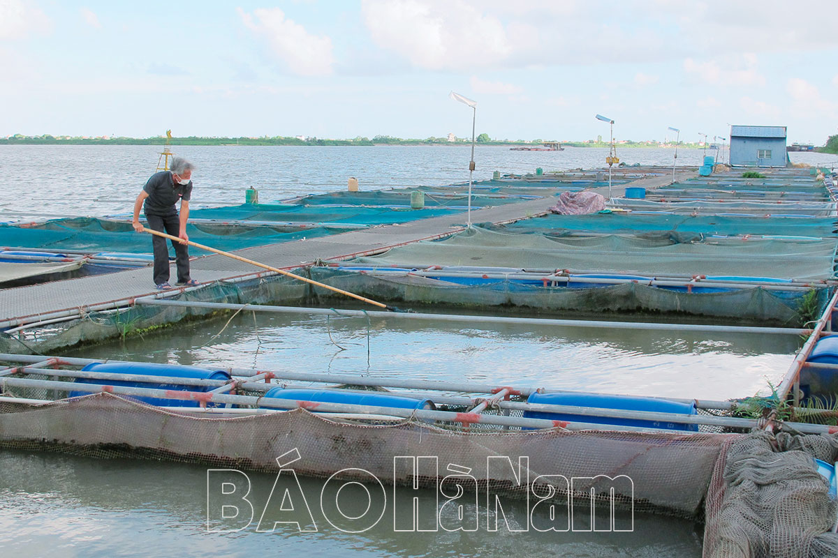 Phú Phúc bảo đảm an toàn cho người dân vùng bối trong mùa mưa, bão, lũ