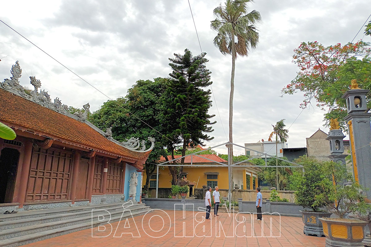 Cây di sản đình làng Nguyễn