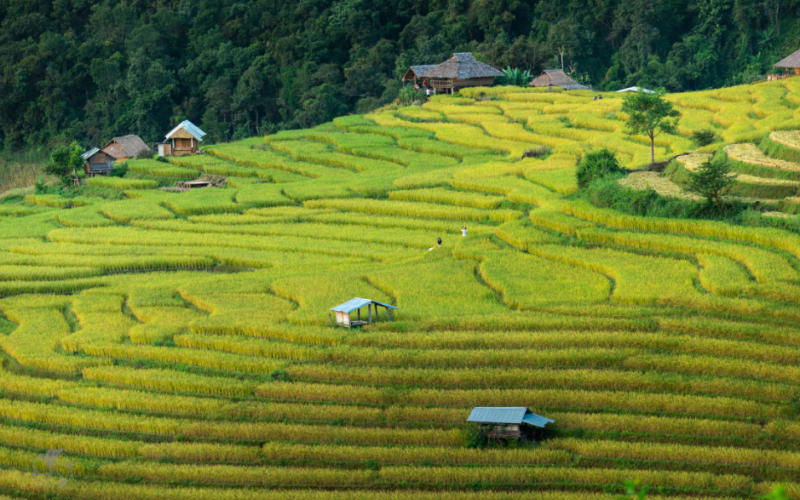 Thái Lan tung ưu đãi thuế nhằm thu hút các đoàn làm phim quốc tế