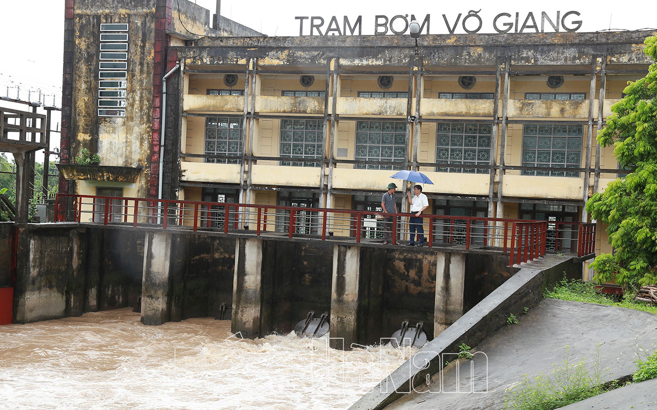 Hàng nghìn héc- ta lúa gieo thẳng bị ngập sau trận mưa lớn