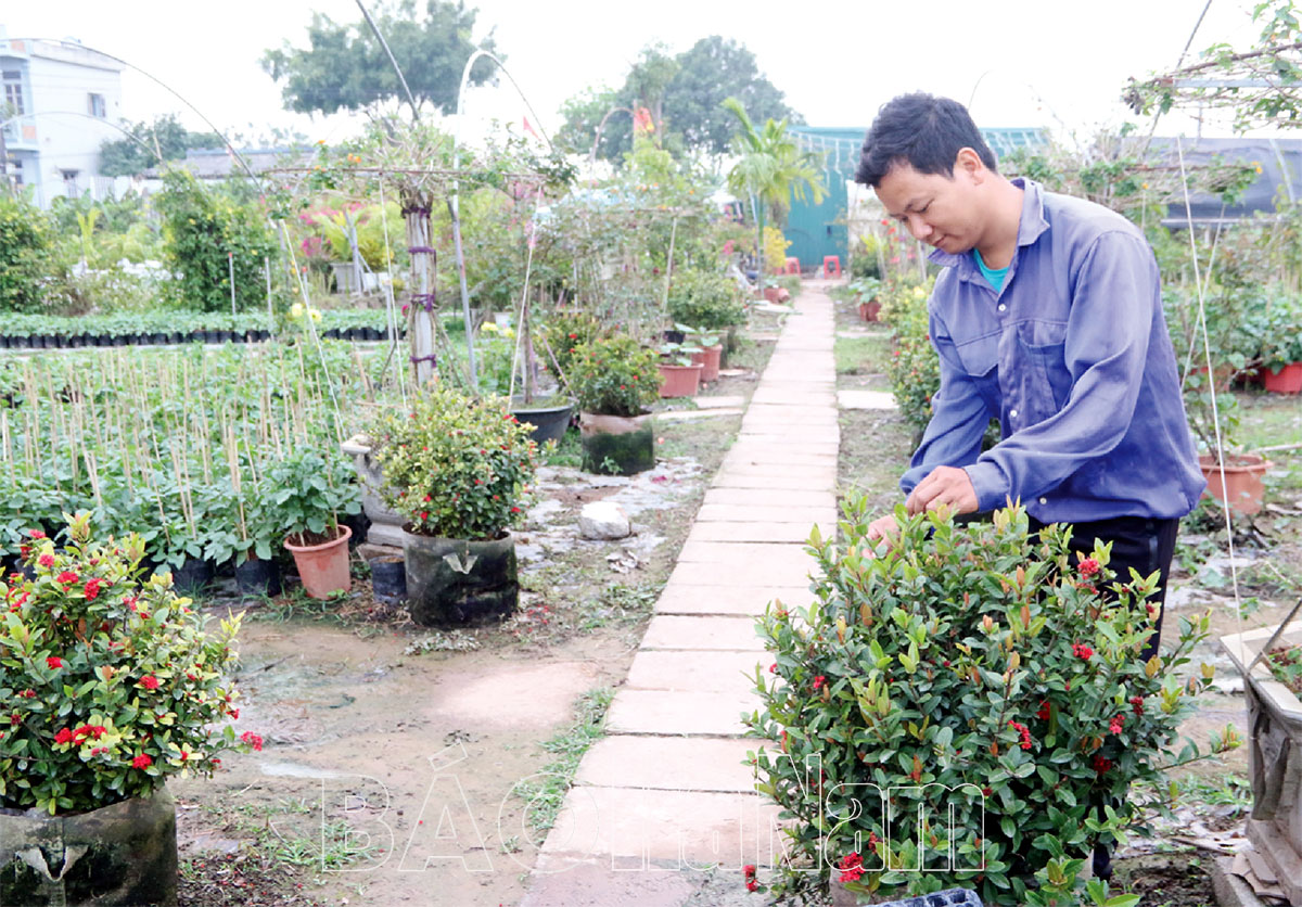 Hỗ trợ thanh niên khởi nghiệp tiếp cận các nguồn vốn