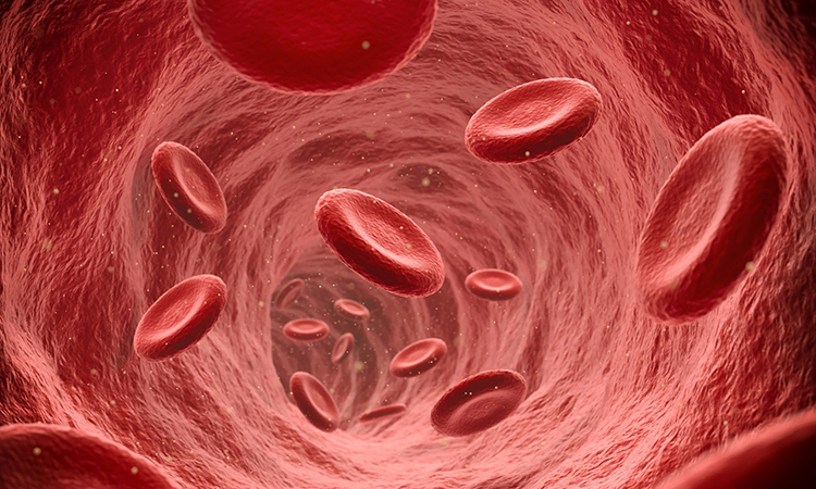 Tại sao máu đỏ nhưng tĩnh mạch lại màu xanh?