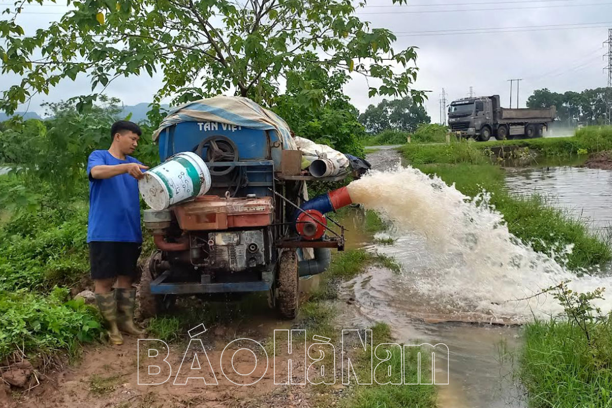Hàng nghìn ha bị ngập do mưa lớn, các địa phương tập trung tiêu thoát nước cứu lúa và hoa màu