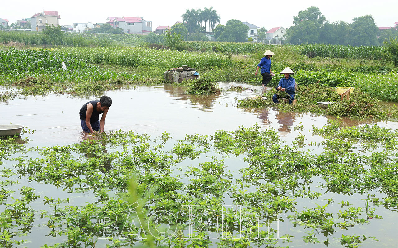 Lũ trên sông Đáy lên trên báo động 2