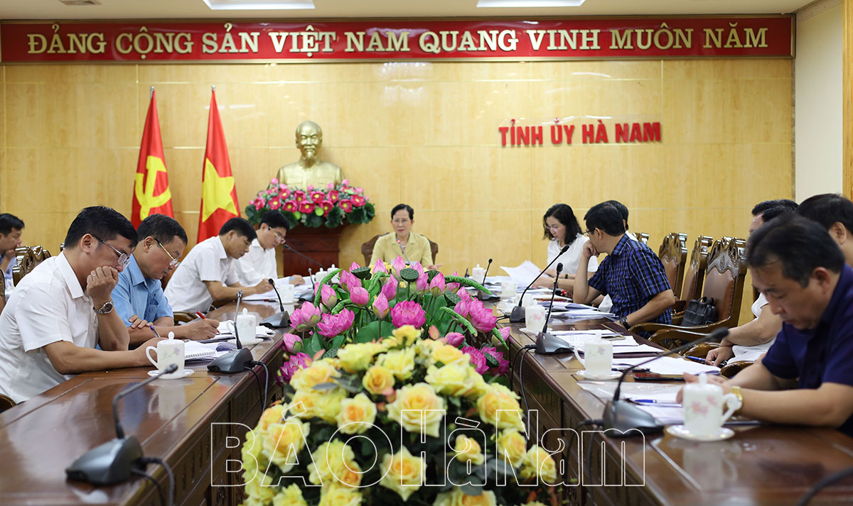 Thường trực Tỉnh ủy họp cho ý kiến một số nội dung về phát triển kinh tế - xã hội