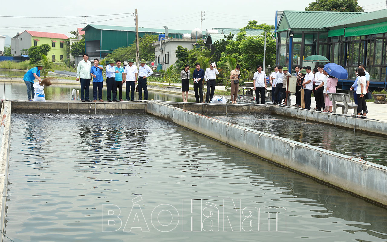 Đoàn công tác Thường trực Ủy ban Kinh tế Quốc hội khảo sát một số HTX tại tỉnh