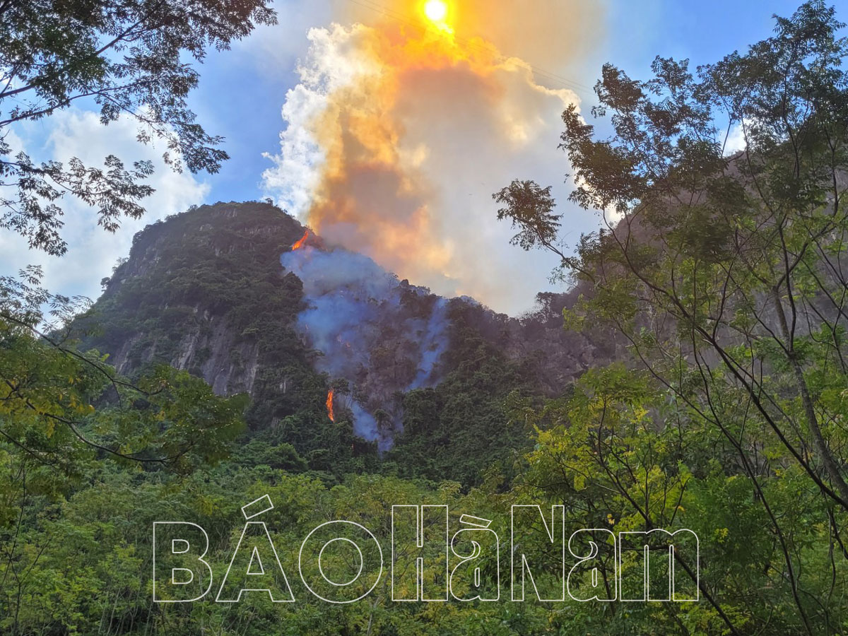 Đã dập tắt hoàn toàn vụ cháy rừng tại thị trấn Ba Sao