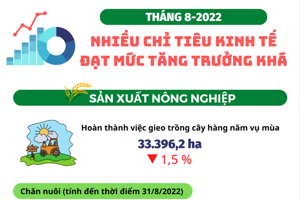 Tháng 8/2022: Nhiều chỉ tiêu kinh tế đạt mức tăng trưởng khá