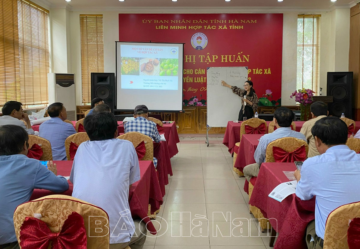 Tập huấn, cập nhật kiến thức cho phó giám đốc các hợp tác xã